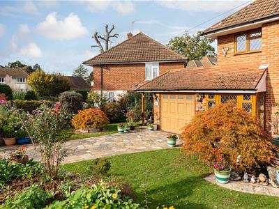 Picture 10